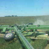 Cutting down irrigated forage