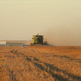 Combining peas