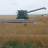 Ellie and Sam going Combining