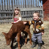 Ellie and Sam with a premature calf