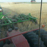 Seeding peas into wheat stubble